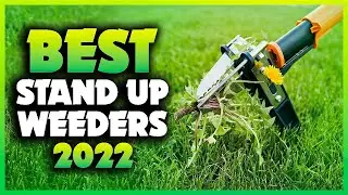 Top 5 Best Stand Up Weeders You can Buy Right Now [2023]