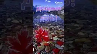 Добрые пожелания.
