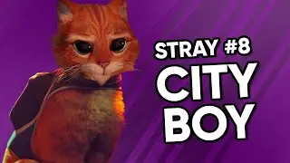 CITY BOII - Stray #8