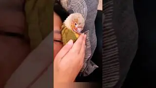 Sleep tight my dear  
