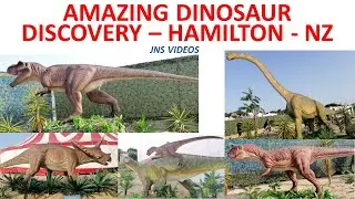 Amazing Dinosaur Discovery | Hamilton NZ | 2020