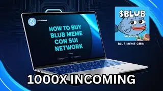 How to Buy BLUB Meme Coin on SUI Network?