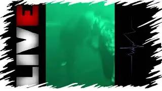 Maugli - Chito Gvrito (Live)