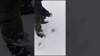 Удача зимней рыбалки.
