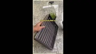 WhatsApp Video 2023 07 12 at 13 19 09