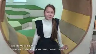 Галкина Мария 3м