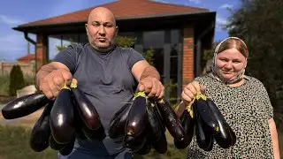 Ancient Recipe for Stuffed Eggplants!