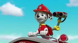 A Good Soaking Will Put Those Rockets Out - Paw Patrol