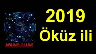 2019-cu ilde Okuz iliinde dogulanlari ne gozleyir?