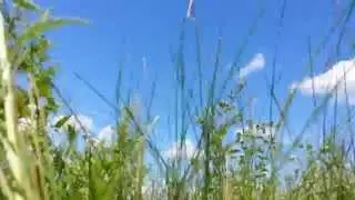 Красоты нашей природы
