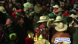 chinito en checca 2016