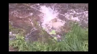sling shot fish
