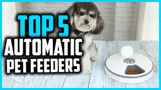 ✅Top 5 Best Automatic Pet Feeders For Wet Food In 2024 Reviews