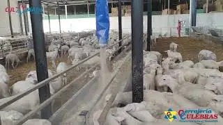 Vagoneta Culmatic V300 en Finca Dehesa Dos Hermanas