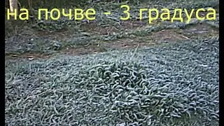 13 АПРЕЛЯ МОРОЗ  -3, делаю инструментальный ящик на МТЗ.