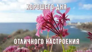 Доброго утречка Хорошего Дня   Позитив для друзей и знакомых