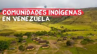 Tasting typical indigenous foods in Venezuela I Canaima 3/10