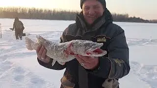 КРУТАЯ РЫБАЛКА ВЕСНОЙ 2023 г щука налим язь ХОРОШО СИДИМ