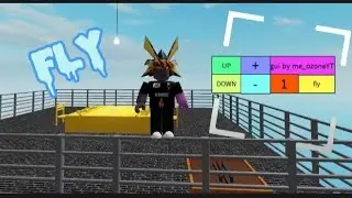 СКРИПТ НА FLY(хз чо дальше писать)
