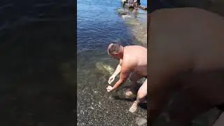 Медузы в чёрном море