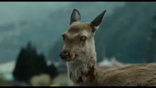 Oh deer