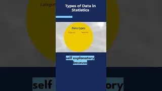 Types of data in statistics | Categorical | Qualitative | Numerical | Quantitative | Statistics