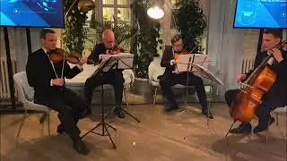 Струнный мужской квартет 
