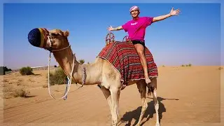 SOPRAVVIVERÒ 24 ORE NEL DESERTO?