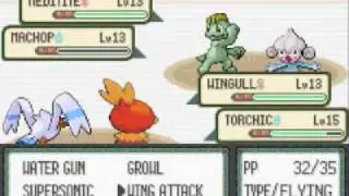 Let's Play Pokémon Emerald Part 12, None Flowers Dude