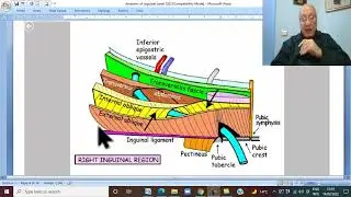Anatomy GIT Module in Arabic 12  (Inguinal Canal,part 1  ) ,  by Wahdan