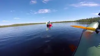 Выход Кумжи на блесну