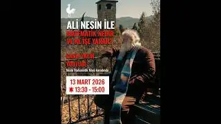 Matematik nedir ve ne işe yarar? - Ali Nesin