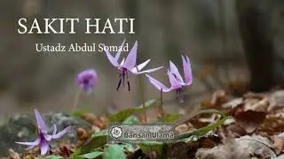 Ustadz Abdul Somad - SAAT SAKIT HATI