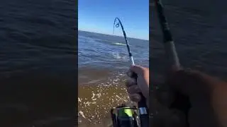 Монстр на крючке. Рыбалка. 