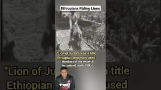 Ethiopians Riding Lions 