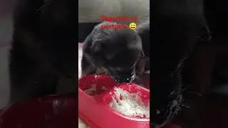 Первый раз едим кашу!