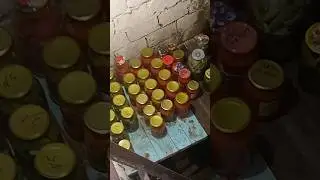Соленые помидоры. Пора в погреб.