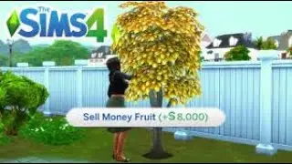 Trying to reach 1M Simoleons before the arrival of a baby.