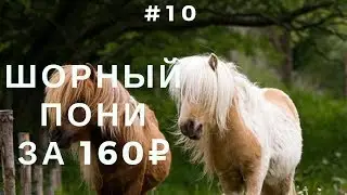 Work with the skin. Sad pony for 160 rubles!