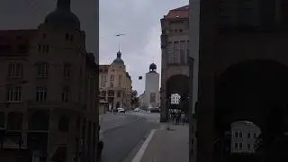 Красота спасет мир.