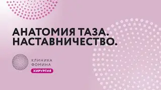 How to locate the uterine artery and ureter // Surgeon training // Mentorship