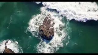 Sounds of the ocean