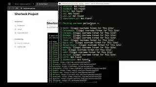 Using Sherlock to Find a User Across Sites [August 2024]