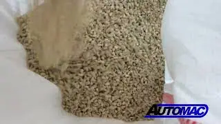 Sortator optic pentru floarea-soarelui