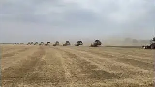 WhatsApp Video 2023 07 10 at 20 03 22