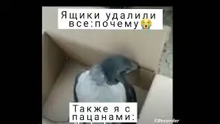 мем #мемы #приколы #мегаящик