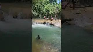 Back Flip into St.Toolies River #shortsvideo #explorejamaica #travel #trendingshorts #nature