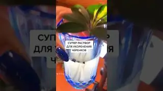 Замените корневин! Супер средство