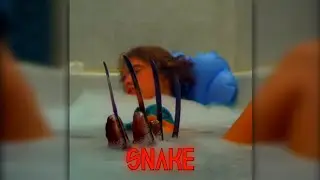 Ｆｒｅｄｄｉｅ Ｄｒｅｄｄ - Ｓｎａｋｅ (A Nightmare on Elm Street Edit)