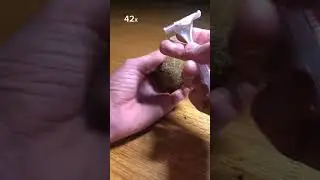 Брею киви 🥝 